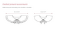 Clara collar PDF sewing pattern