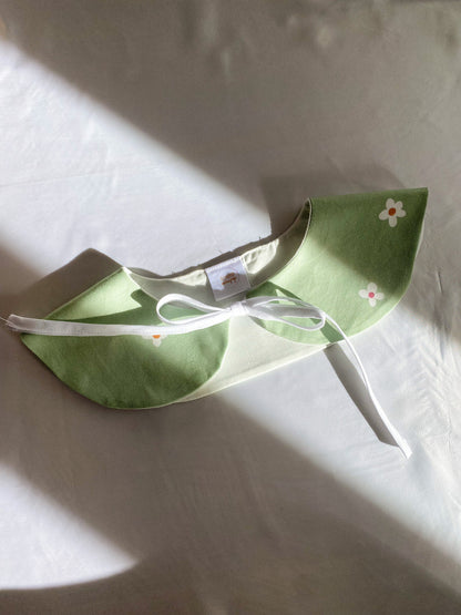 Detachable collar