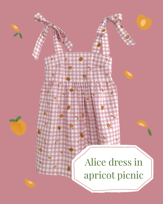 Alice dress in apricot picnic